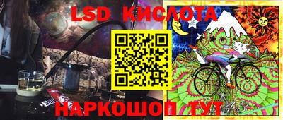 прущие грибы Будённовск