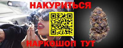 прущие грибы Будённовск